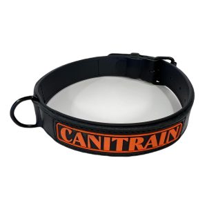 Équipement pour chien Canitrain fabriqué dans le Tarn :collier cuir noir taille L