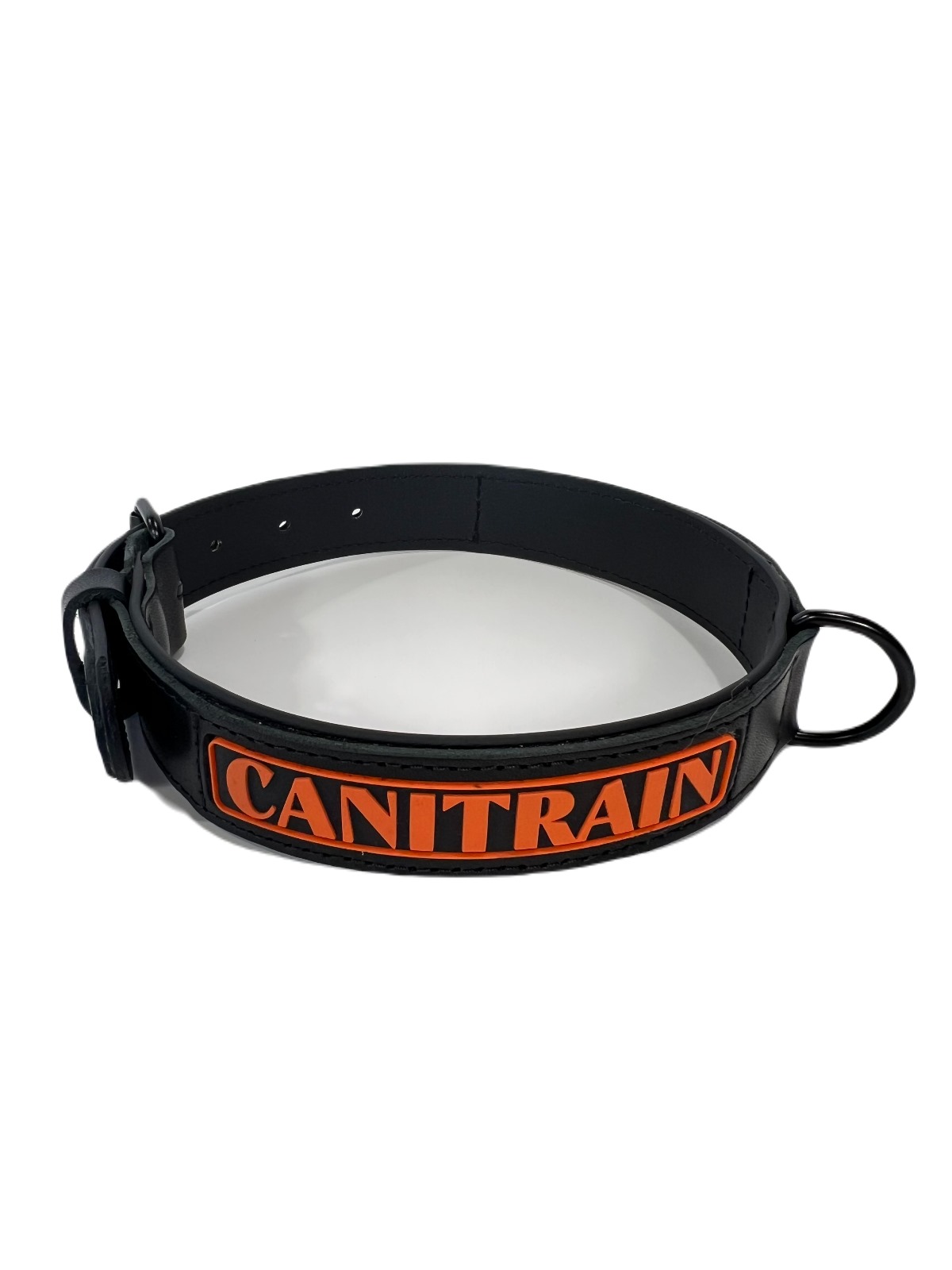 Équipement pour chien Canitrain fabriqué dans le Tarn :collier en cuir noir taille L