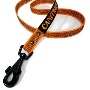 Équipement pour chien Canitrain fabriqué dans le Tarn : laisse sport canin orange 1m1
