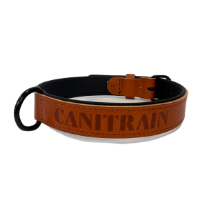 Équipement pour chien Canitrain fabriqué dans le Tarn : collier cuir london taille L