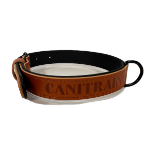 Équipement pour chien Canitrain fabriqué dans le Tarn : collier cuir london taille M