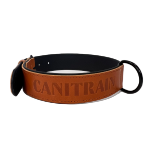 Équipement pour chien Canitrain fabriqué dans le Tarn : collier cuir london taille XL