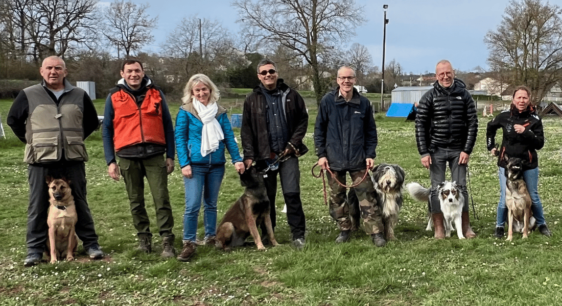 Des participants à un cours d'éducation canine pour chiens adultes