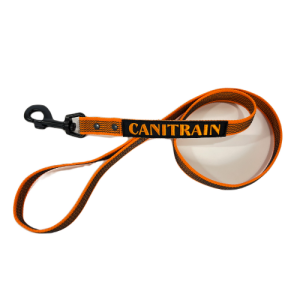 Équipement pour chien Canitrain fabriqué dans le Tarn : longe gommée orange 1m