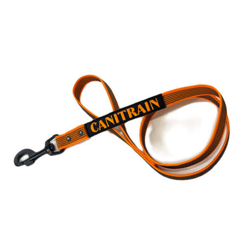 Équipement pour chien Canitrain fabriqué dans le Tarn : longe gommée orange 1m