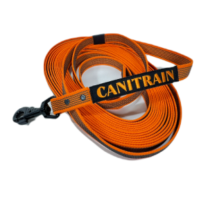 Équipement pour chien Canitrain fabriqué dans le Tarn : longe gommée orange 10m