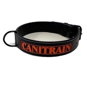 Équipement pour chien Canitrain fabriqué dans le Tarn : collier cuir noir taille XL