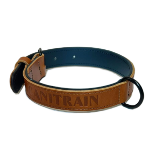 Équipement pour chien Canitrain fabriqué dans le Tarn : collier cuir London taille S